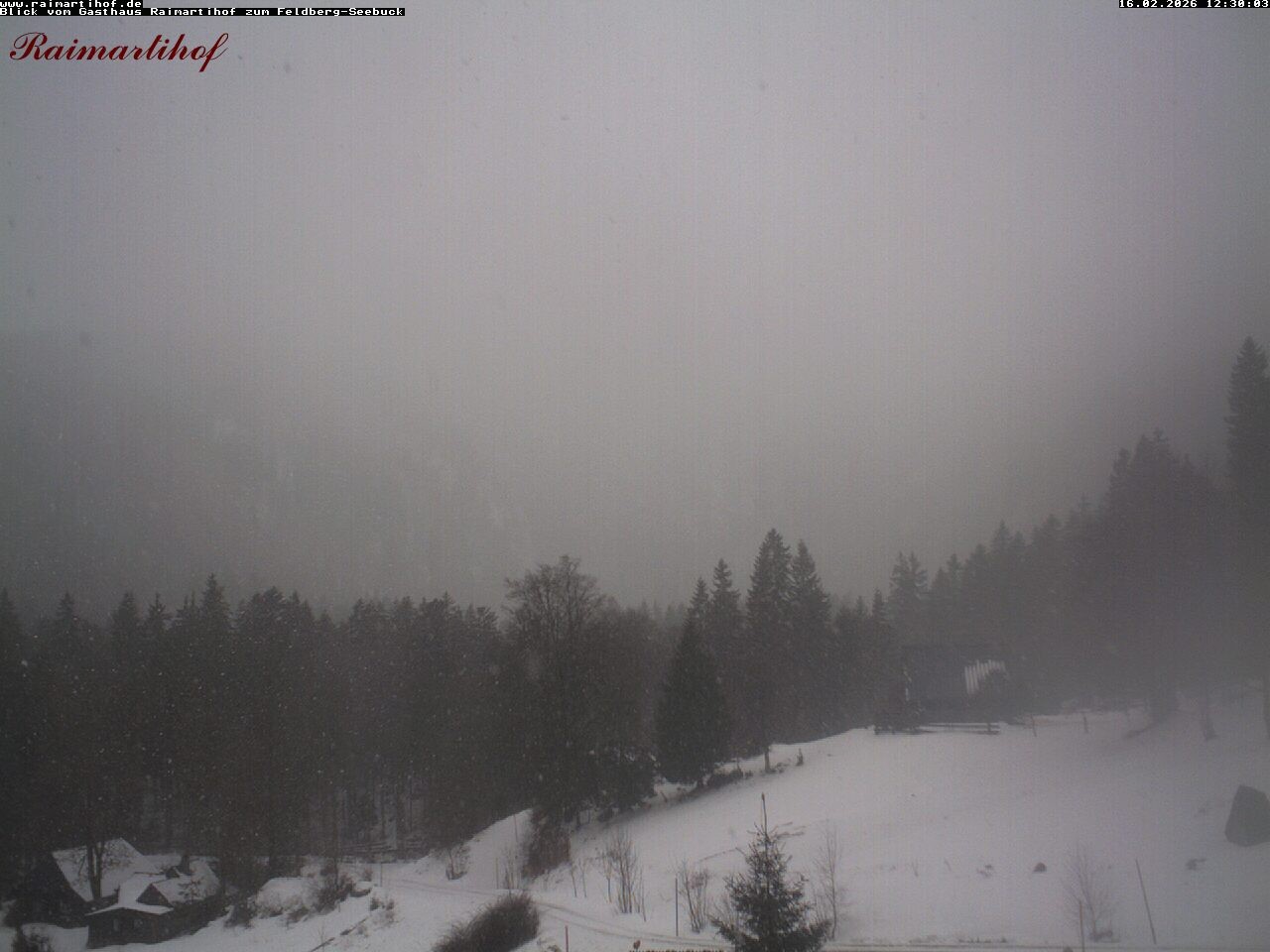 Archiv Foto Webcam Feldberg Raimartihof