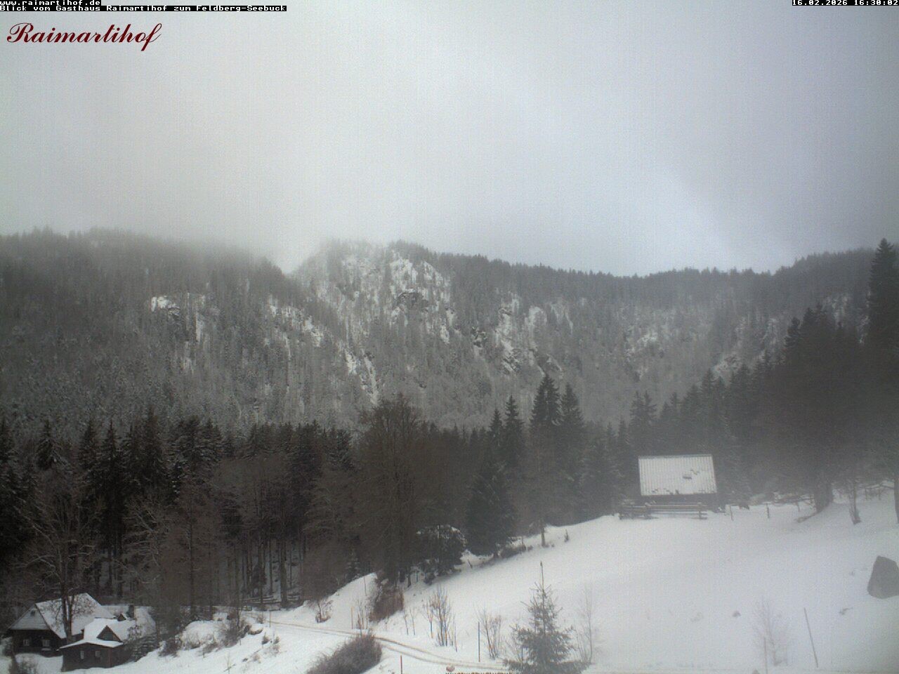 Archiv Foto Webcam Feldberg Raimartihof