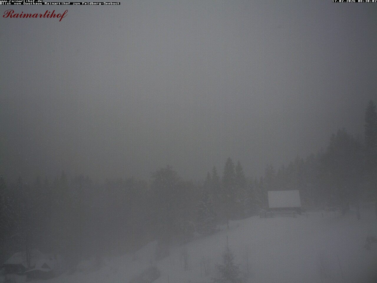 Archived image Webcam Raimartihof - Feldberg Seebuck
