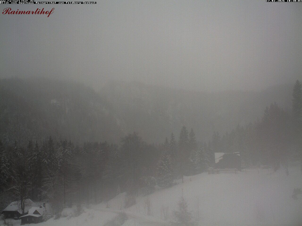 Archived image Webcam Raimartihof - Feldberg Seebuck