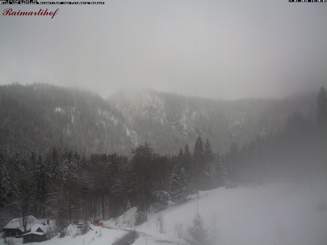 Archived image Webcam Raimartihof - Feldberg Seebuck