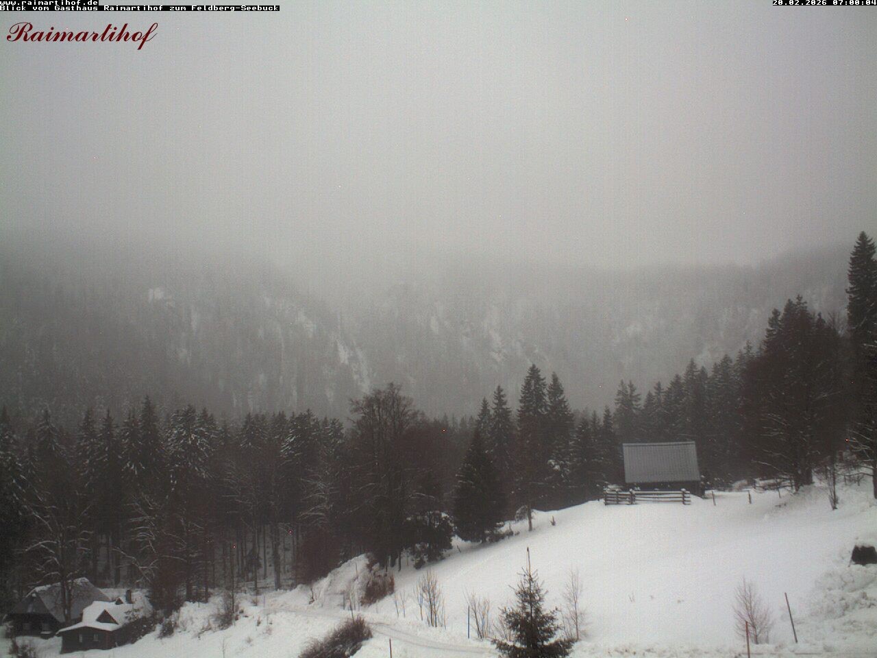 Archiv Foto Webcam Feldberg Raimartihof