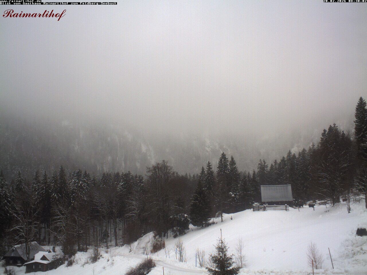 Archiv Foto Webcam Feldberg Raimartihof