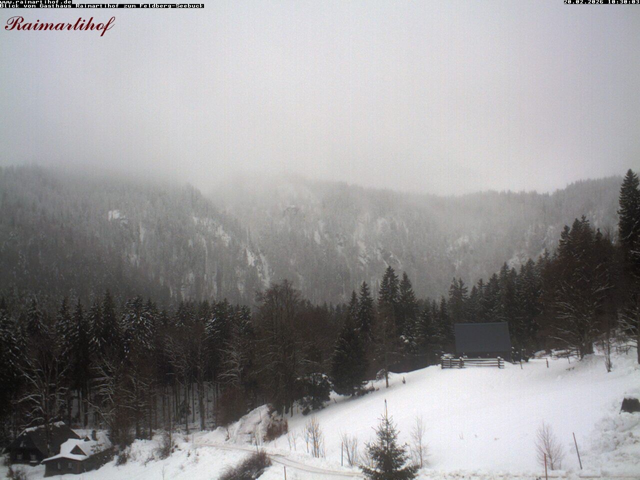 Archiv Foto Webcam Feldberg Raimartihof