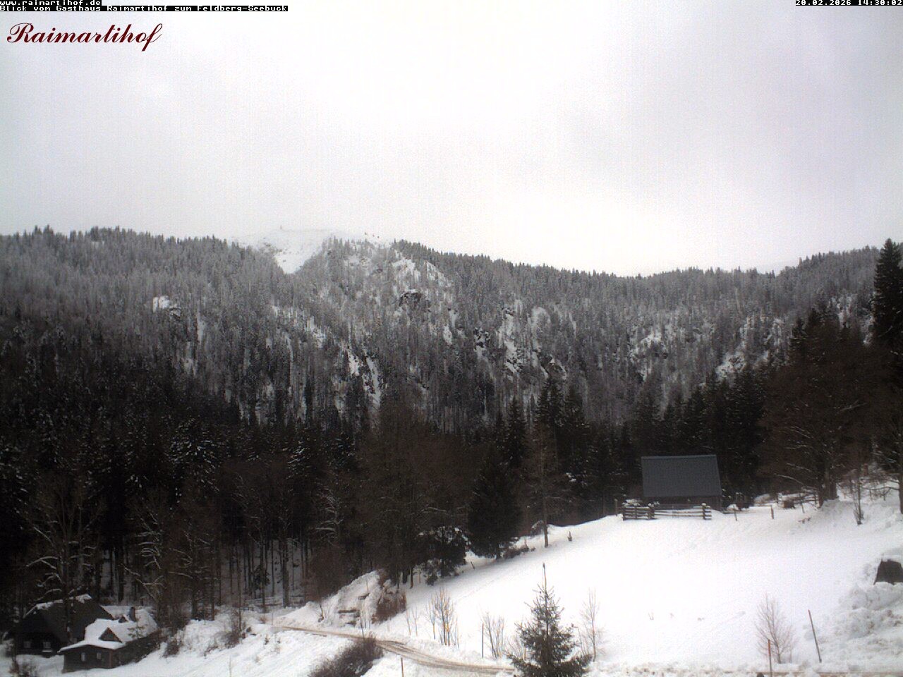 Archiv Foto Webcam Feldberg Raimartihof