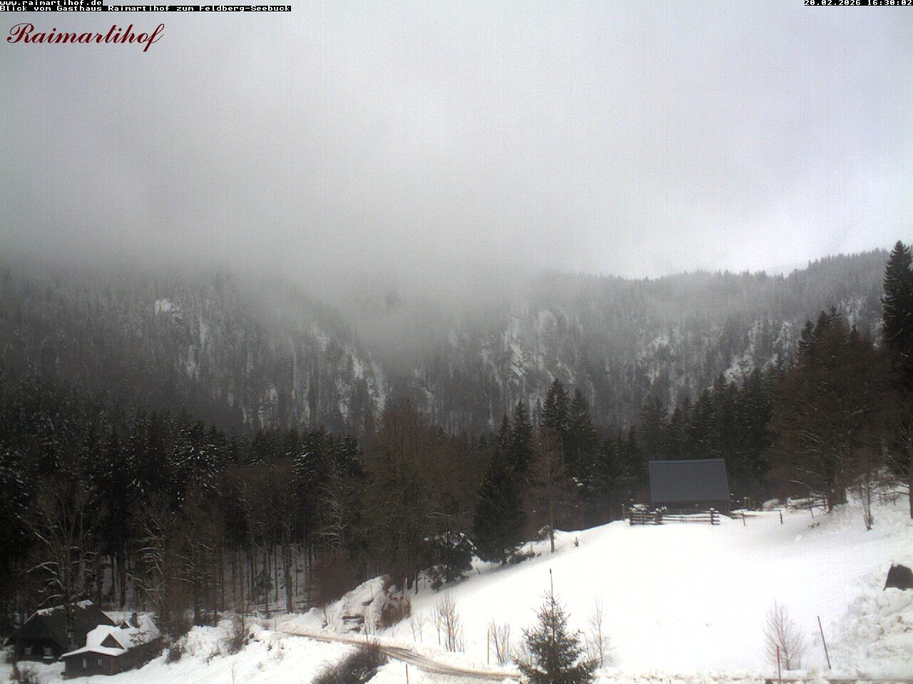 Archiv Foto Webcam Feldberg Raimartihof