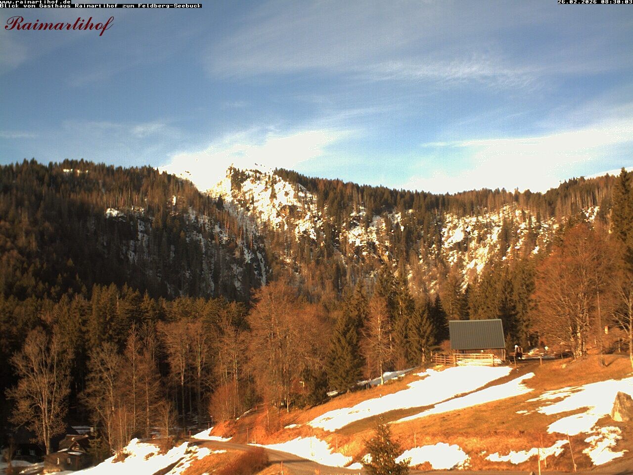Archiv Foto Webcam Feldberg Raimartihof