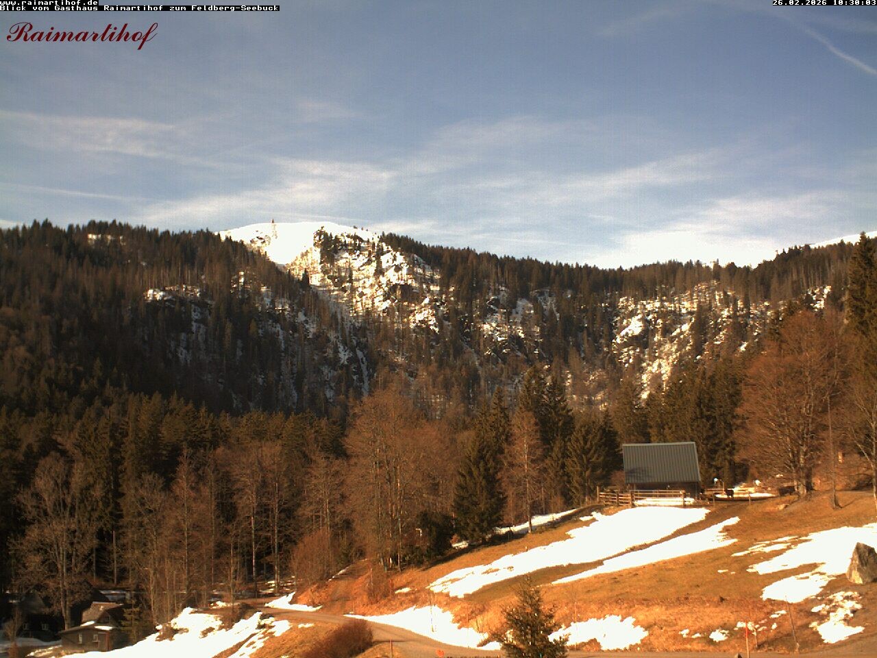 Archiv Foto Webcam Feldberg Raimartihof