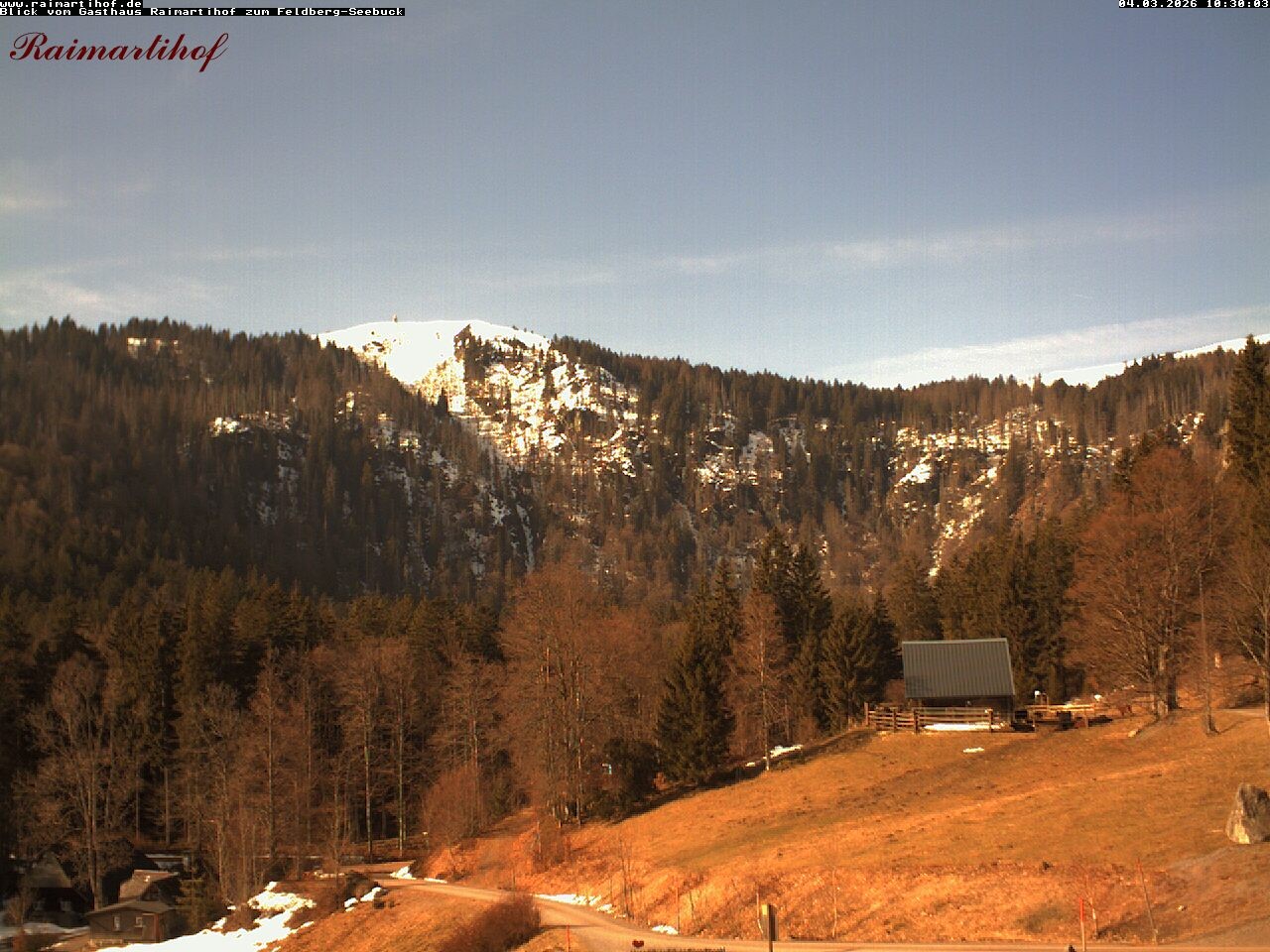 Archived image Webcam Raimartihof - Feldberg Seebuck