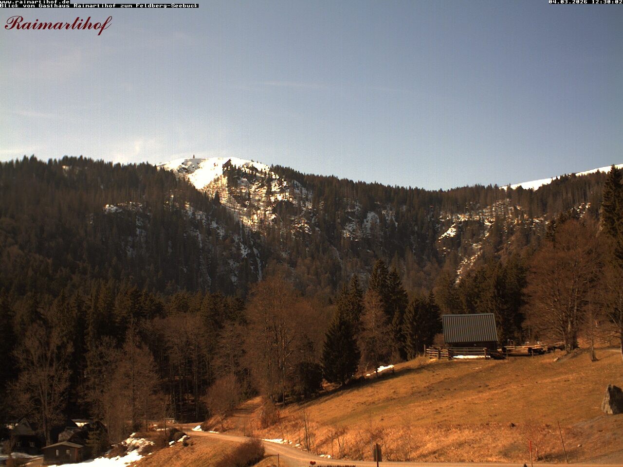 Archived image Webcam Raimartihof - Feldberg Seebuck