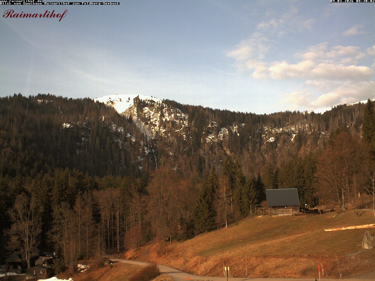 Archiv Foto Webcam Feldberg Raimartihof
