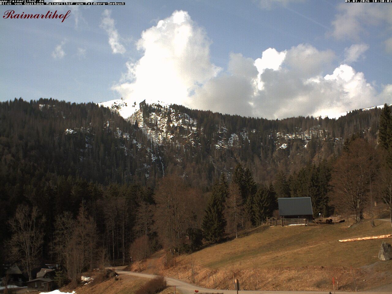 Archiv Foto Webcam Feldberg Raimartihof