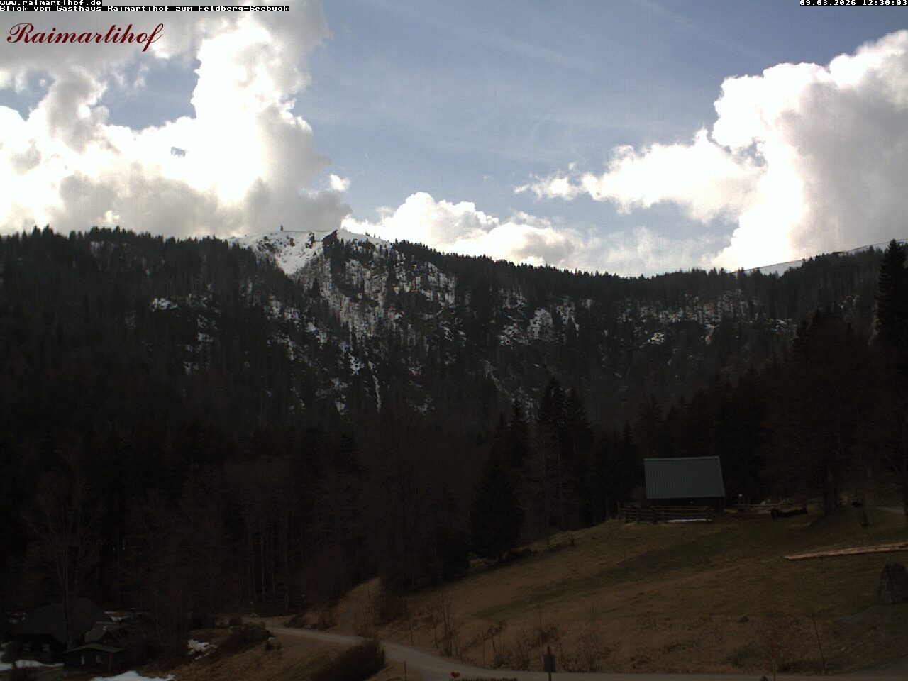 Archiv Foto Webcam Feldberg Raimartihof