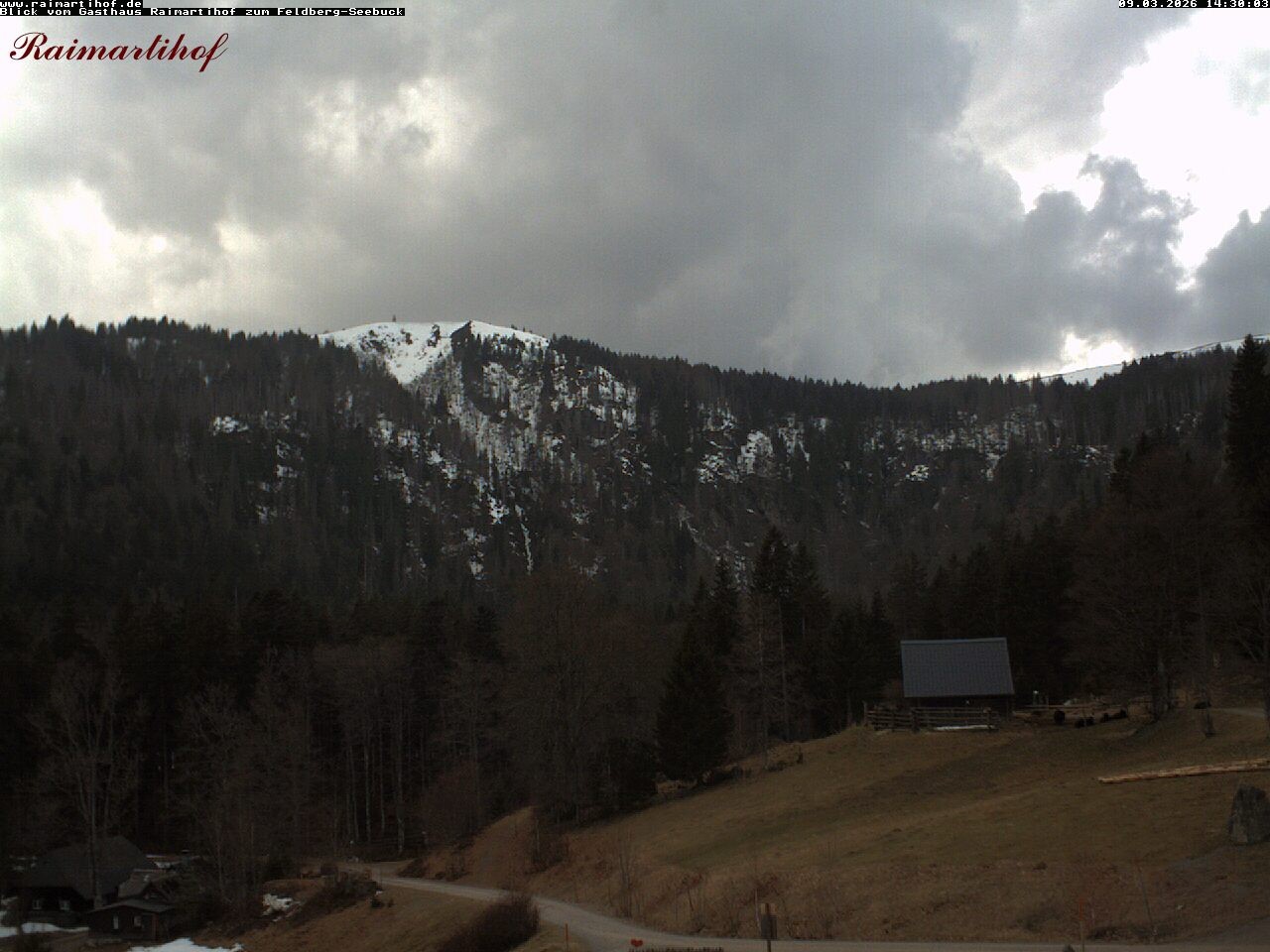 Archiv Foto Webcam Feldberg Raimartihof