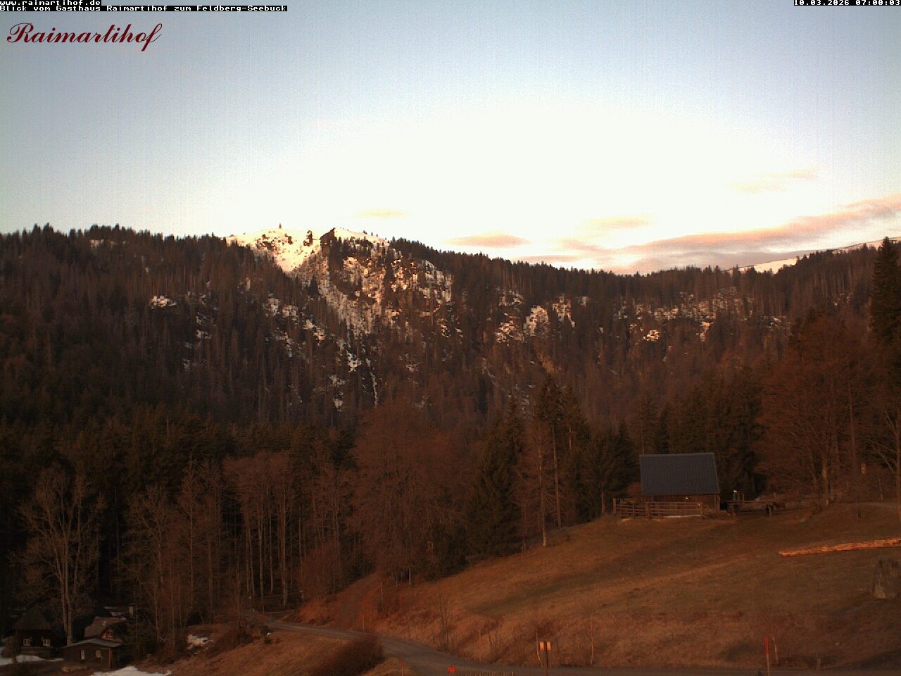 Archiv Foto Webcam Feldberg Raimartihof
