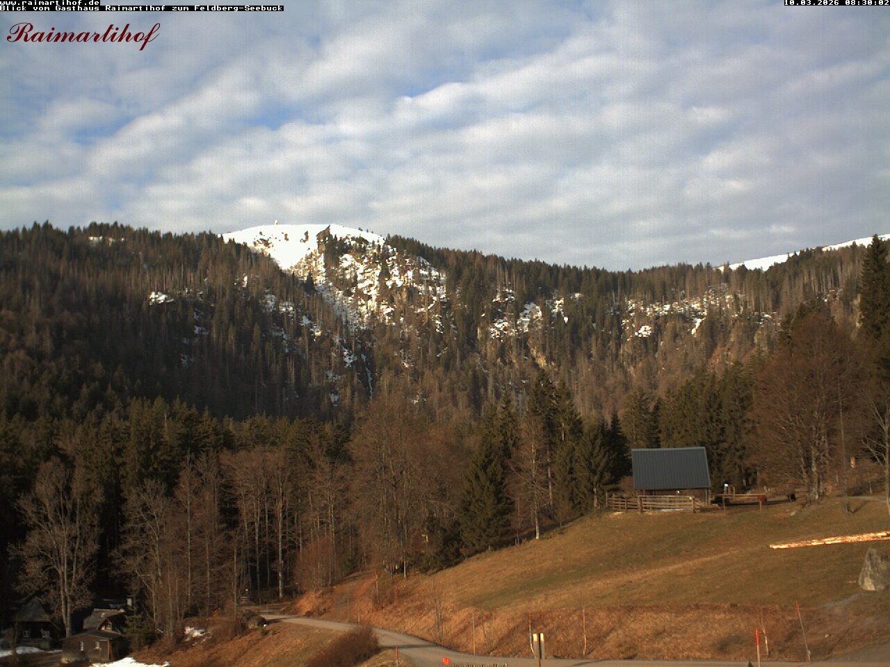 Archiv Foto Webcam Feldberg Raimartihof