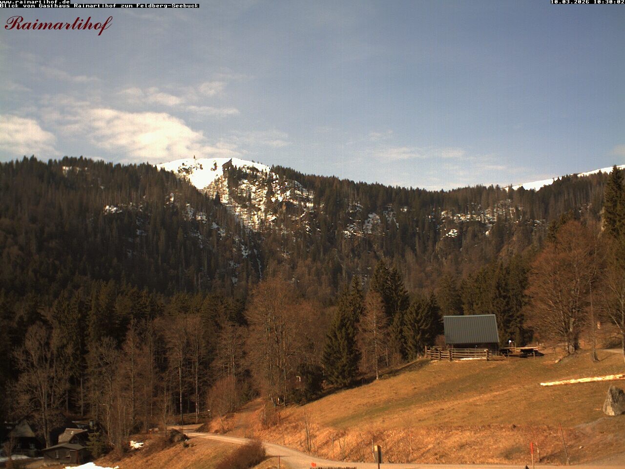 Archiv Foto Webcam Feldberg Raimartihof