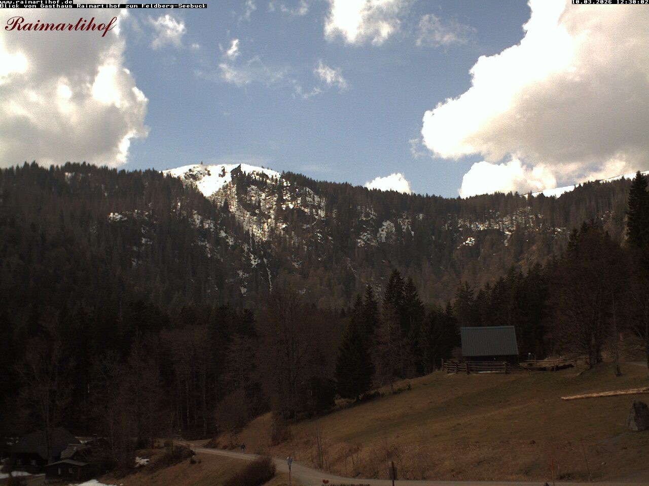 Archiv Foto Webcam Feldberg Raimartihof