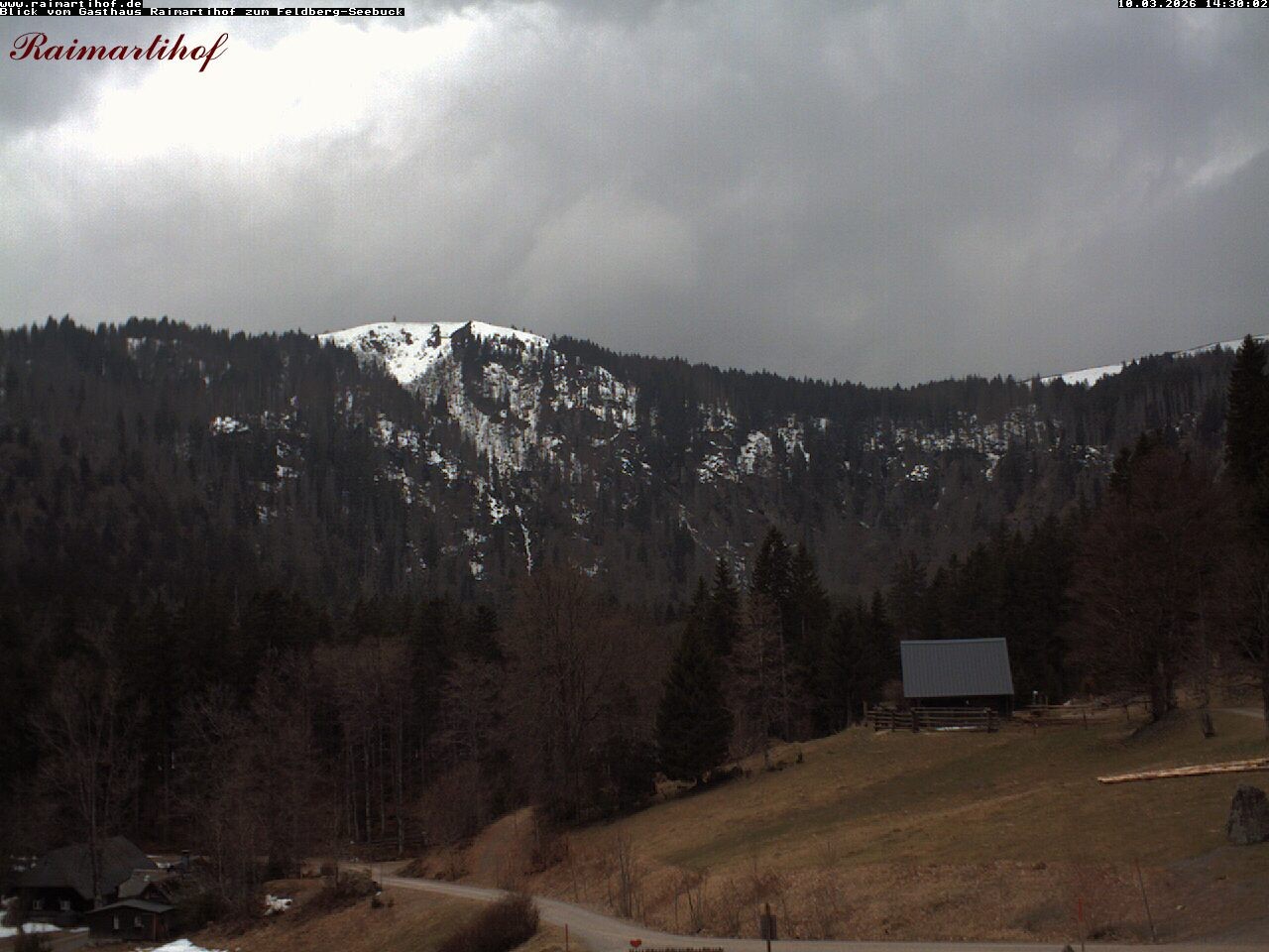 Archiv Foto Webcam Feldberg Raimartihof