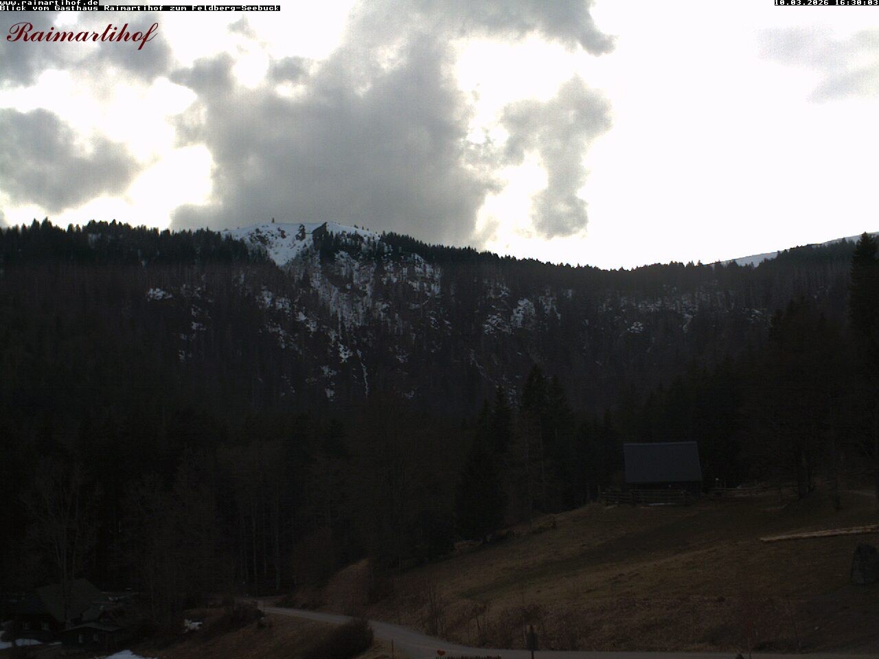 Archiv Foto Webcam Feldberg Raimartihof