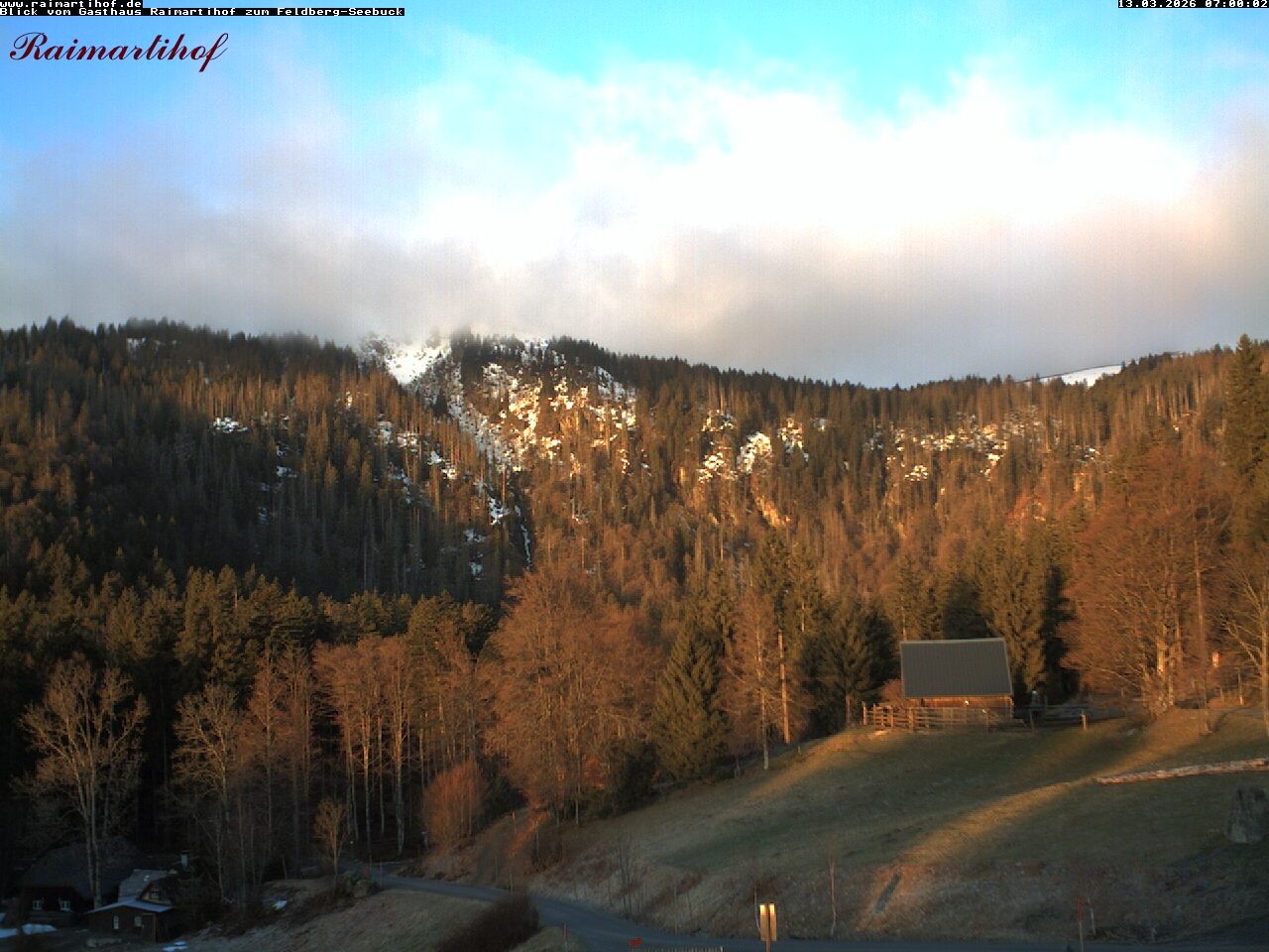 Archiv Foto Webcam Feldberg Raimartihof