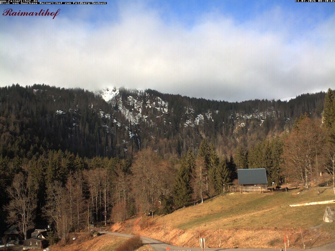 Archiv Foto Webcam Feldberg Raimartihof