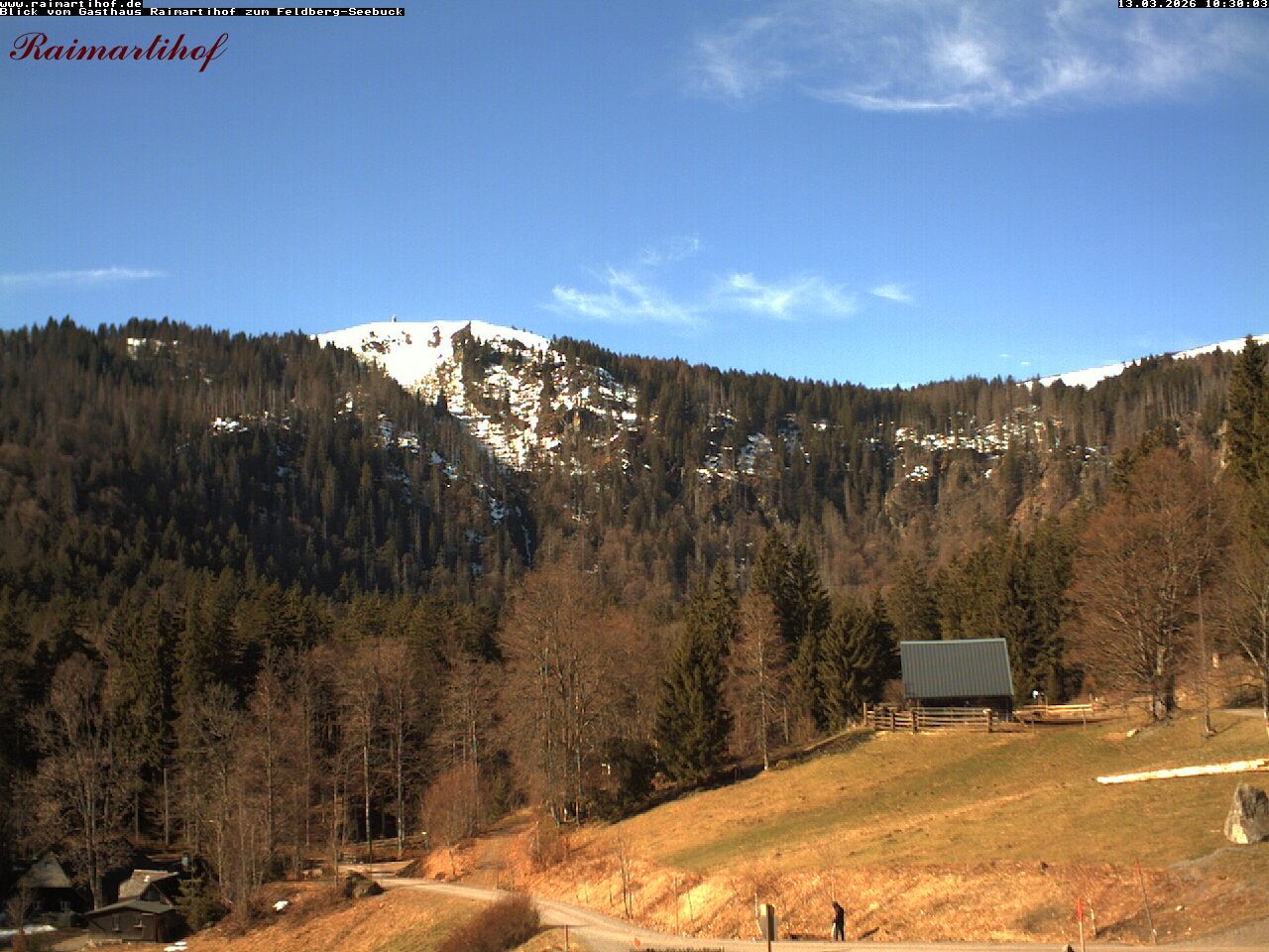Archiv Foto Webcam Feldberg Raimartihof
