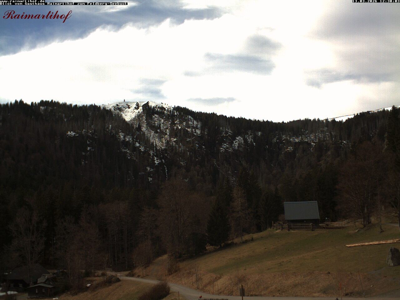 Archiv Foto Webcam Feldberg Raimartihof