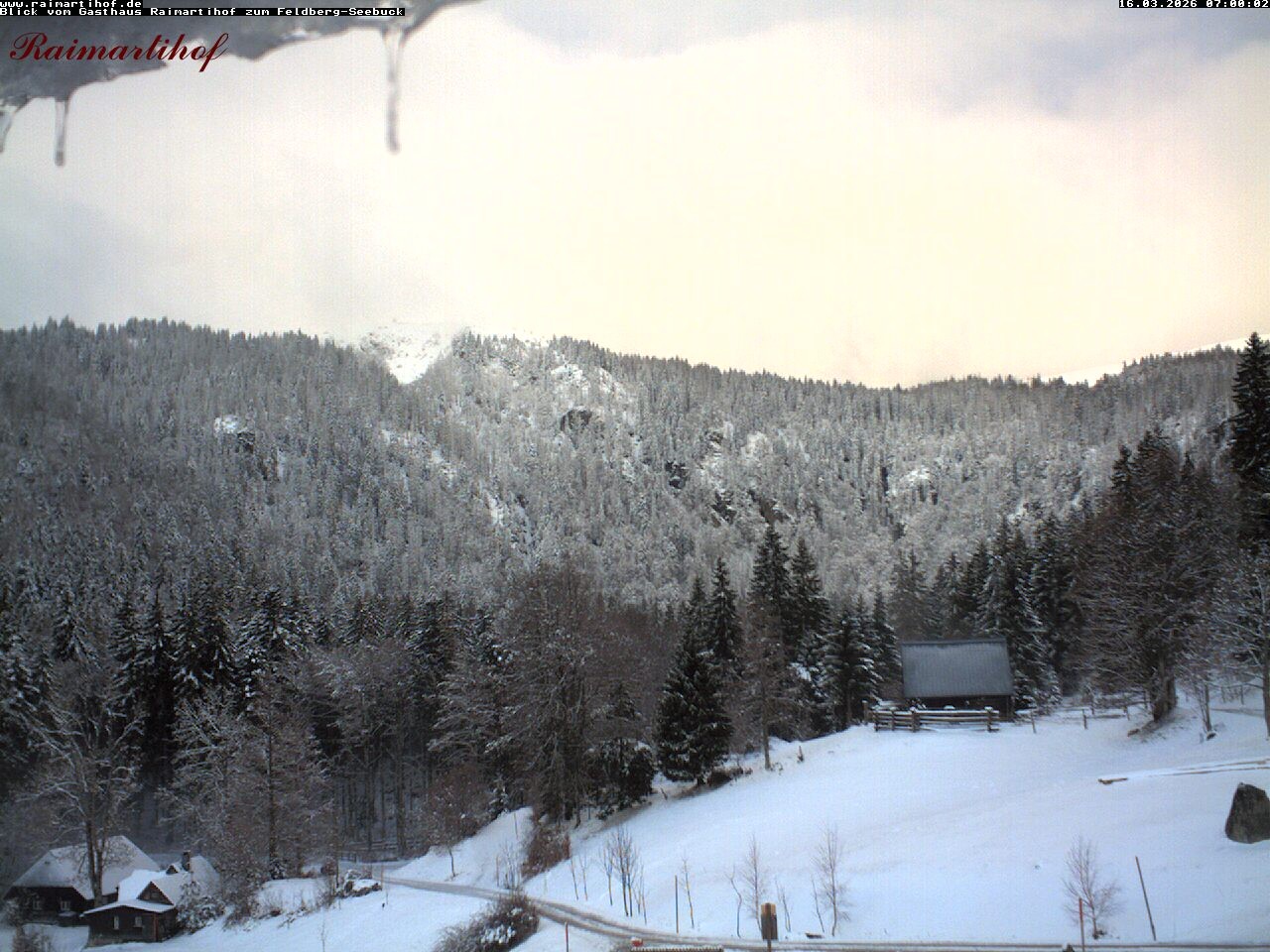 Archiv Foto Webcam Feldberg Raimartihof