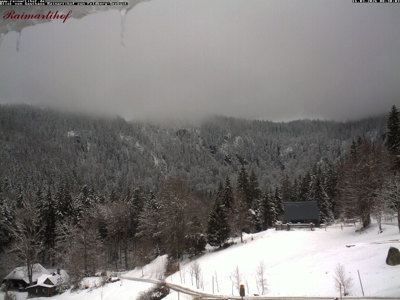 Archiv Foto Webcam Feldberg Raimartihof