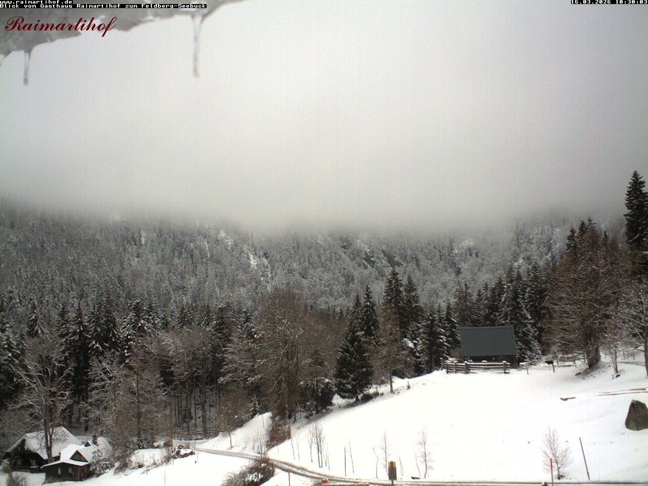 Archiv Foto Webcam Feldberg Raimartihof