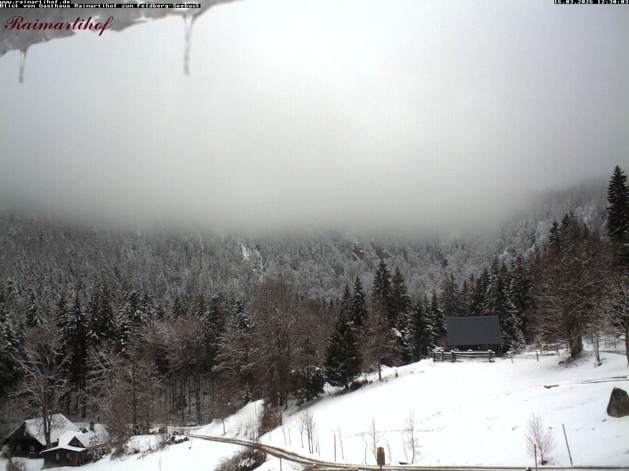 Archiv Foto Webcam Feldberg Raimartihof