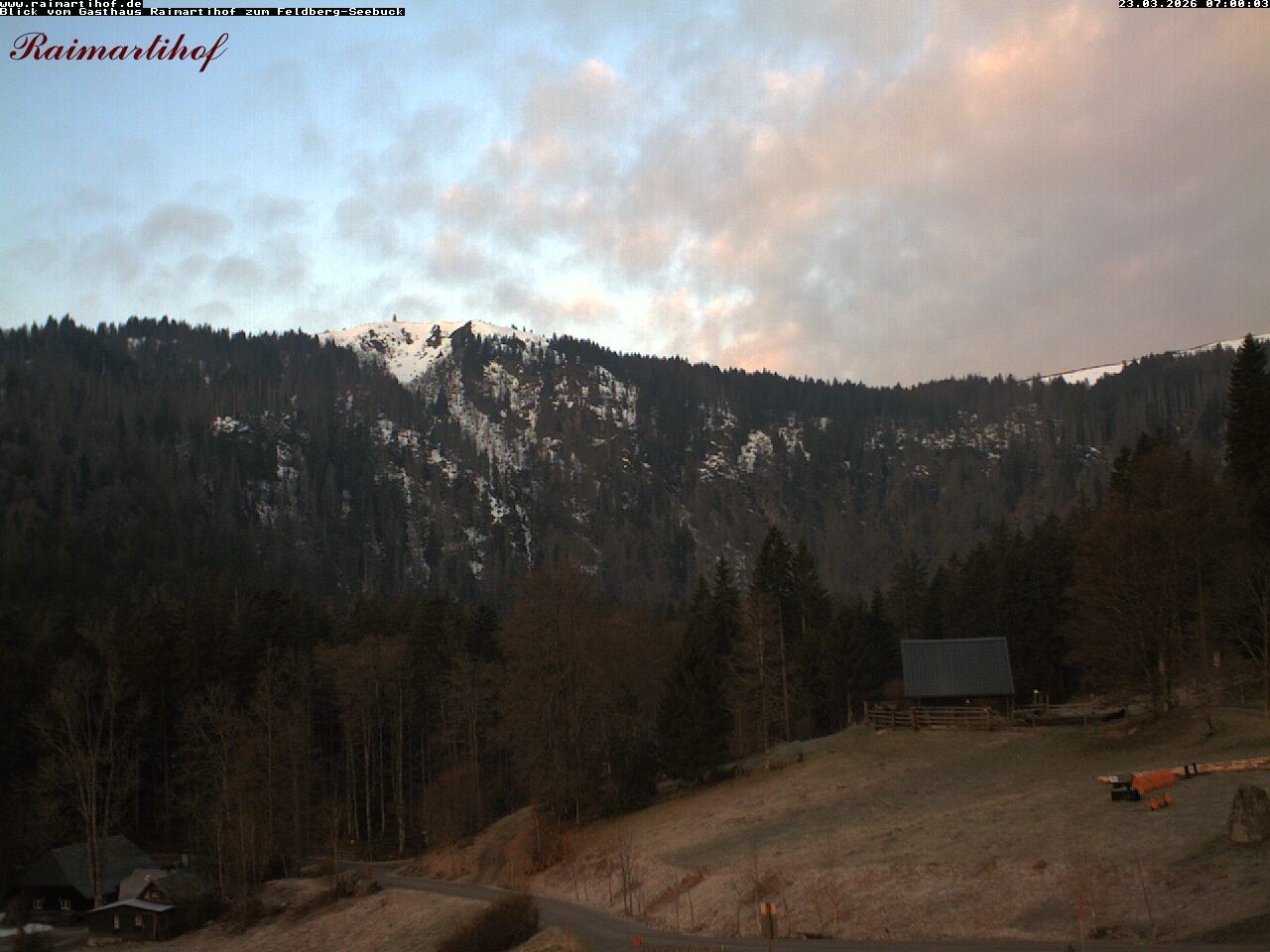 Archiv Foto Webcam Feldberg Raimartihof