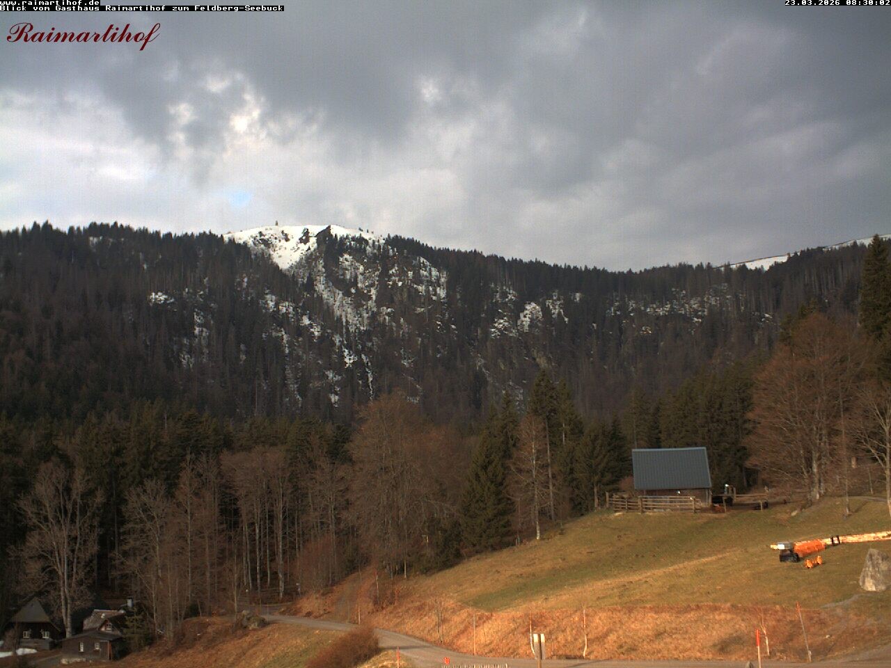 Archiv Foto Webcam Feldberg Raimartihof