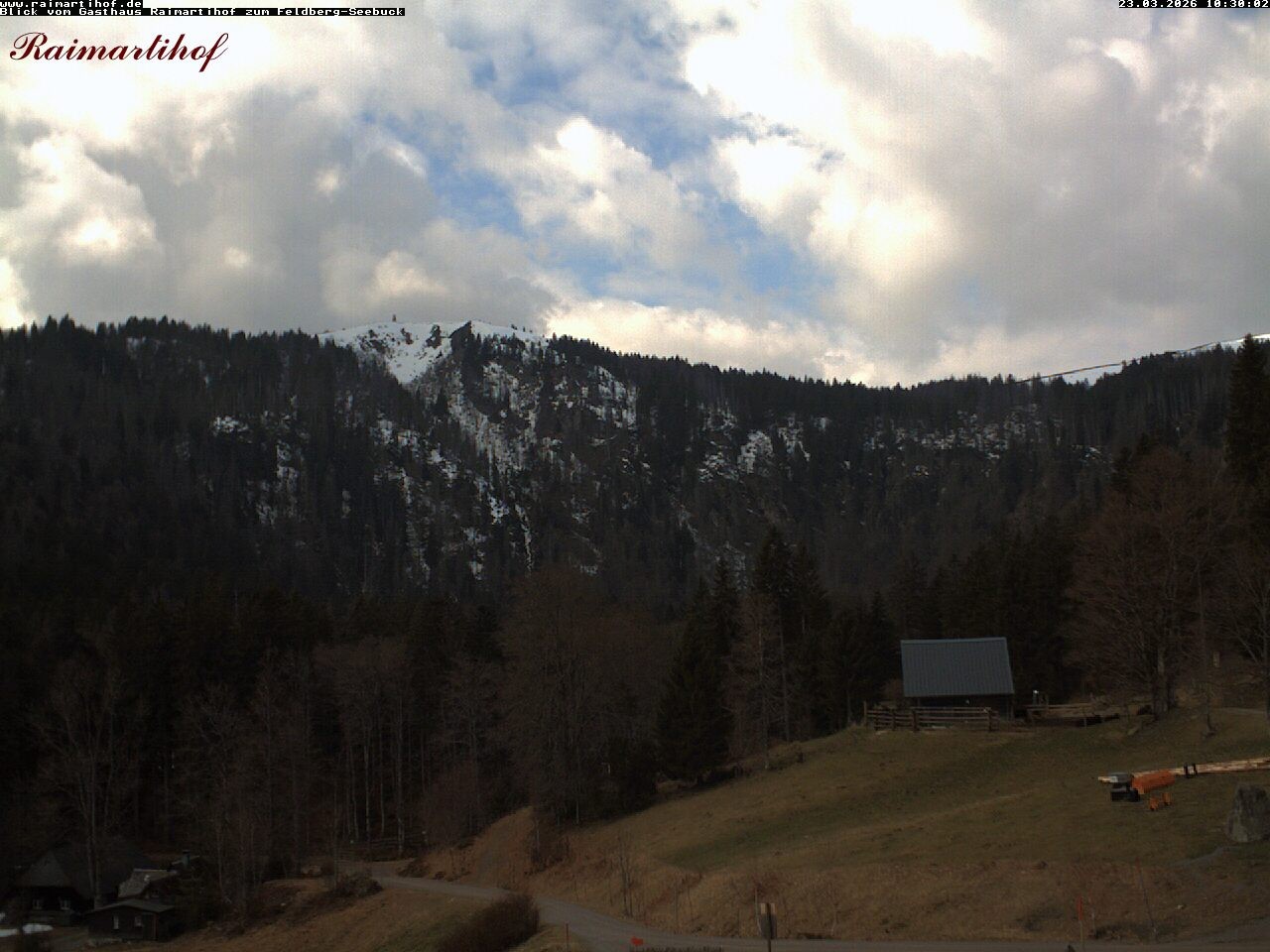 Archiv Foto Webcam Feldberg Raimartihof