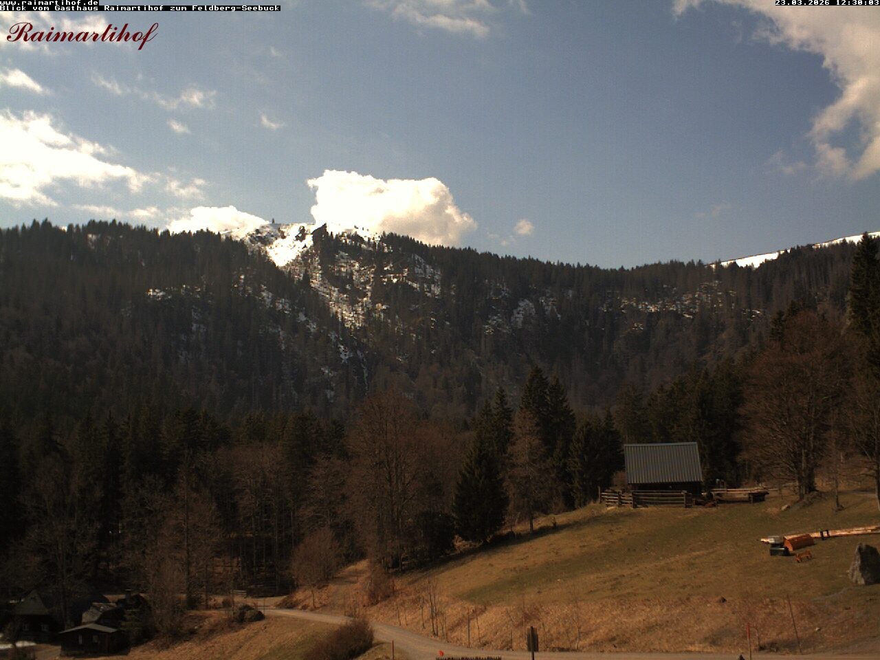 Archiv Foto Webcam Feldberg Raimartihof