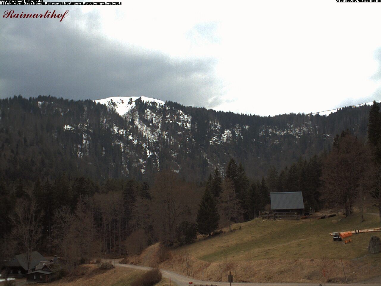 Archiv Foto Webcam Feldberg Raimartihof
