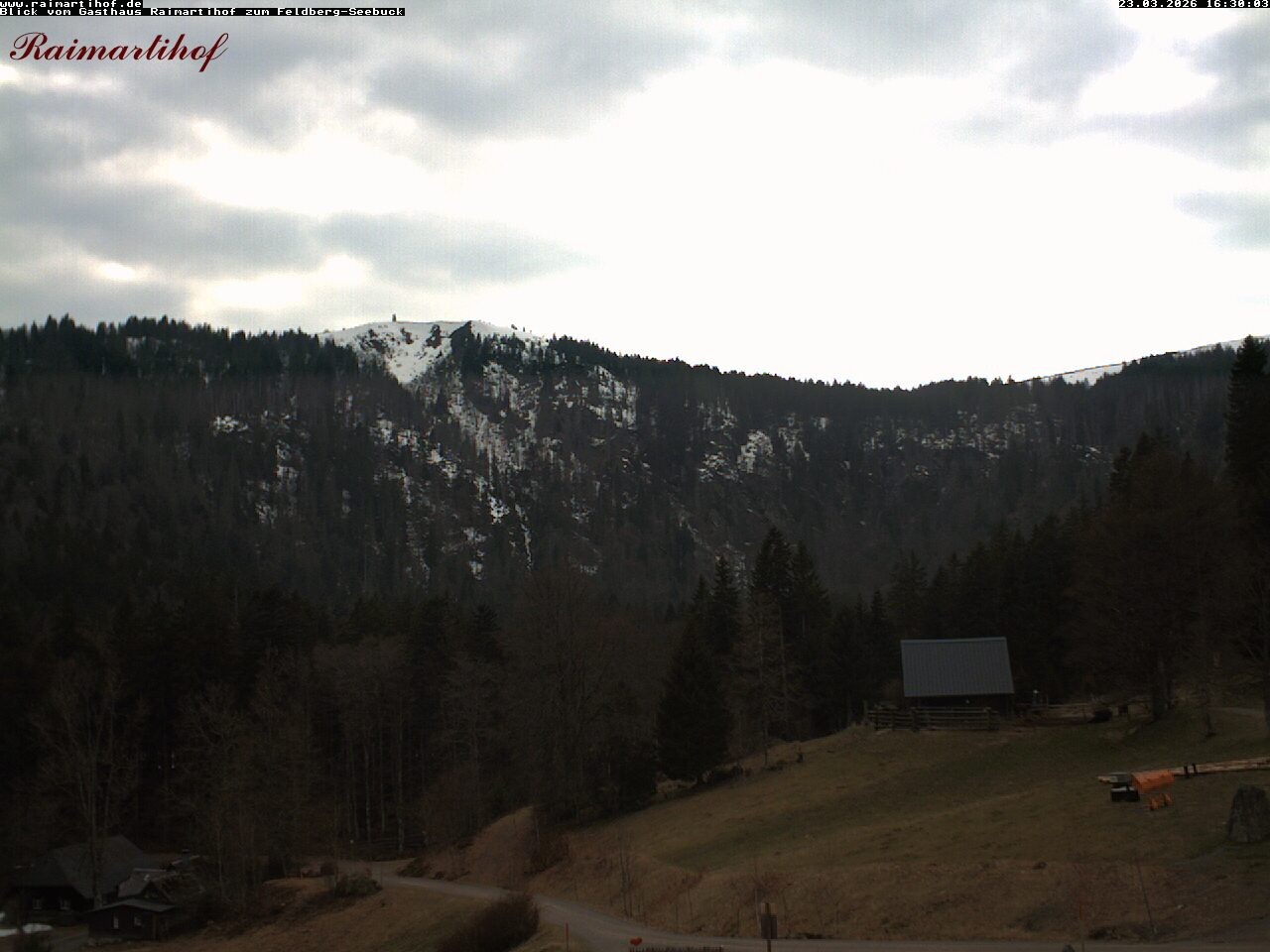 Archiv Foto Webcam Feldberg Raimartihof