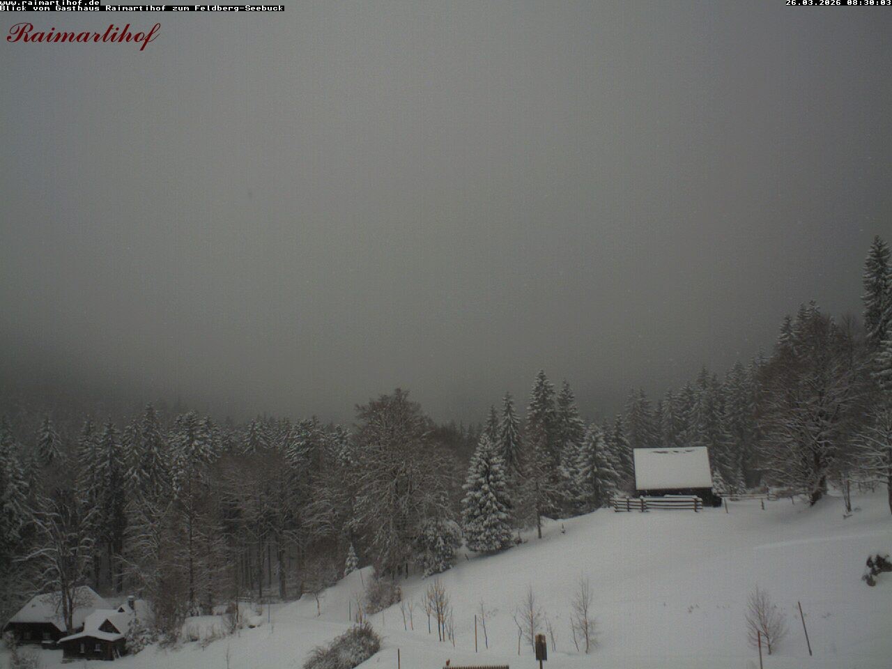 Archiv Foto Webcam Feldberg Raimartihof