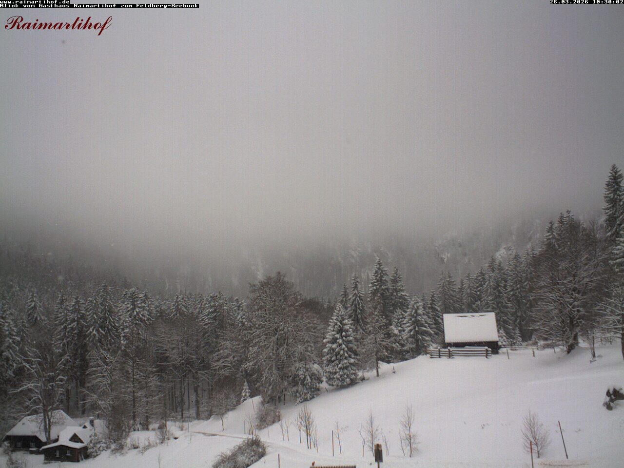 Archiv Foto Webcam Feldberg Raimartihof