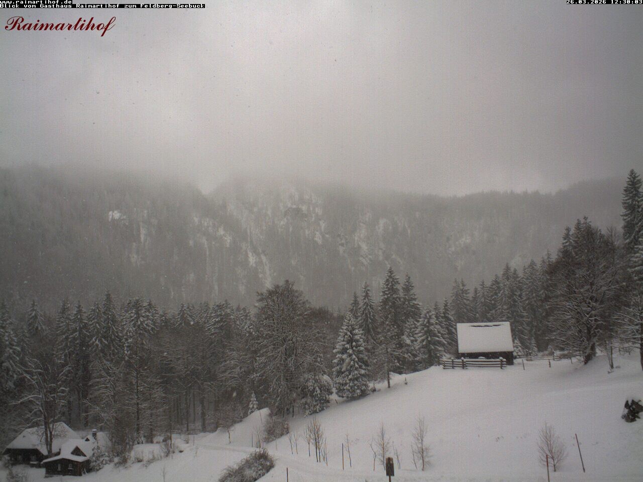 Archiv Foto Webcam Feldberg Raimartihof