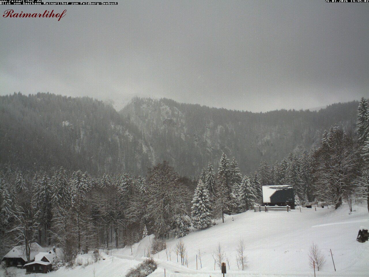 Archiv Foto Webcam Feldberg Raimartihof
