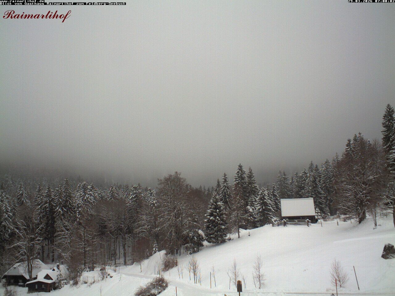 Archiv Foto Webcam Feldberg Raimartihof