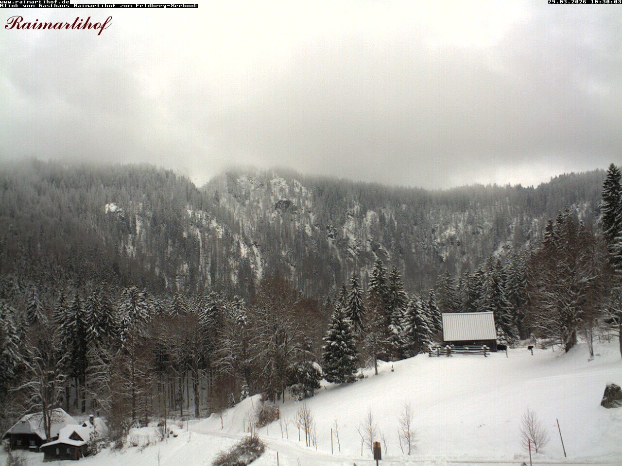 Archiv Foto Webcam Feldberg Raimartihof