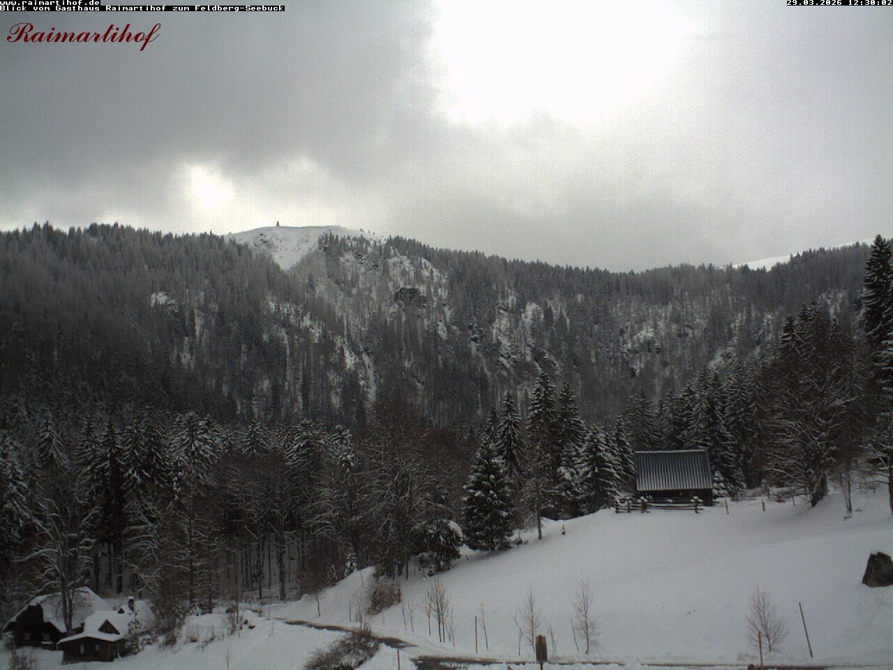 Archiv Foto Webcam Feldberg Raimartihof