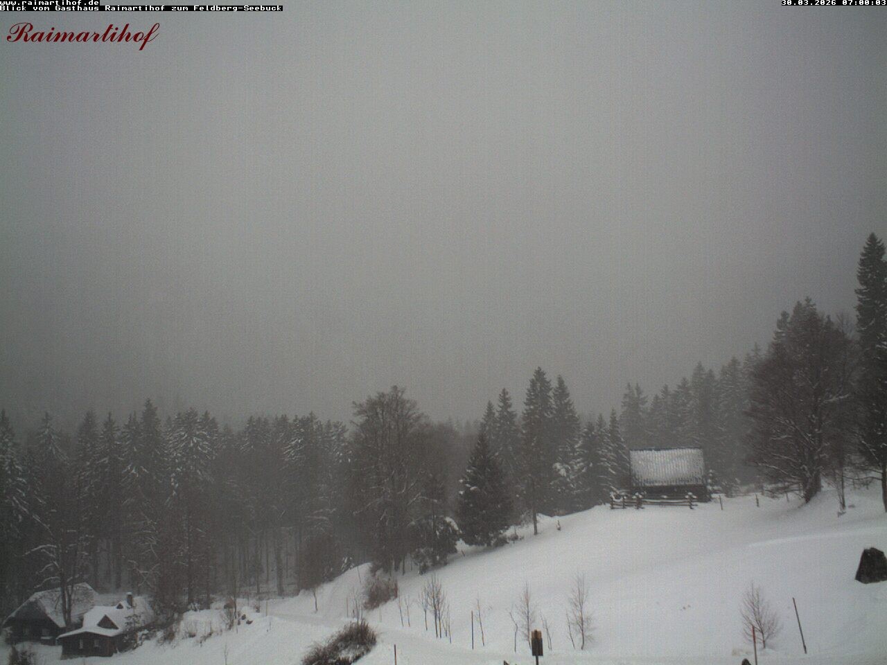 Archiv Foto Webcam Feldberg Raimartihof