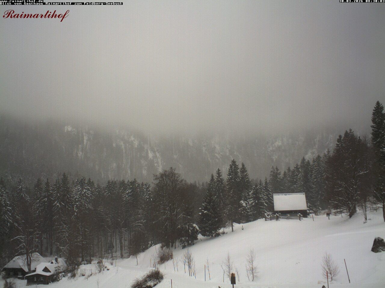 Archiv Foto Webcam Feldberg Raimartihof