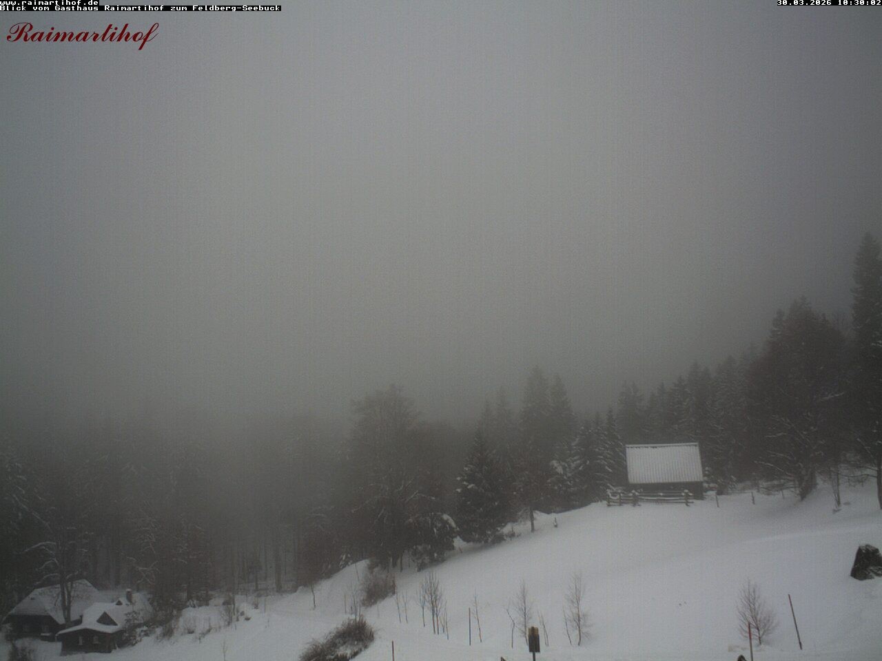 Archiv Foto Webcam Feldberg Raimartihof