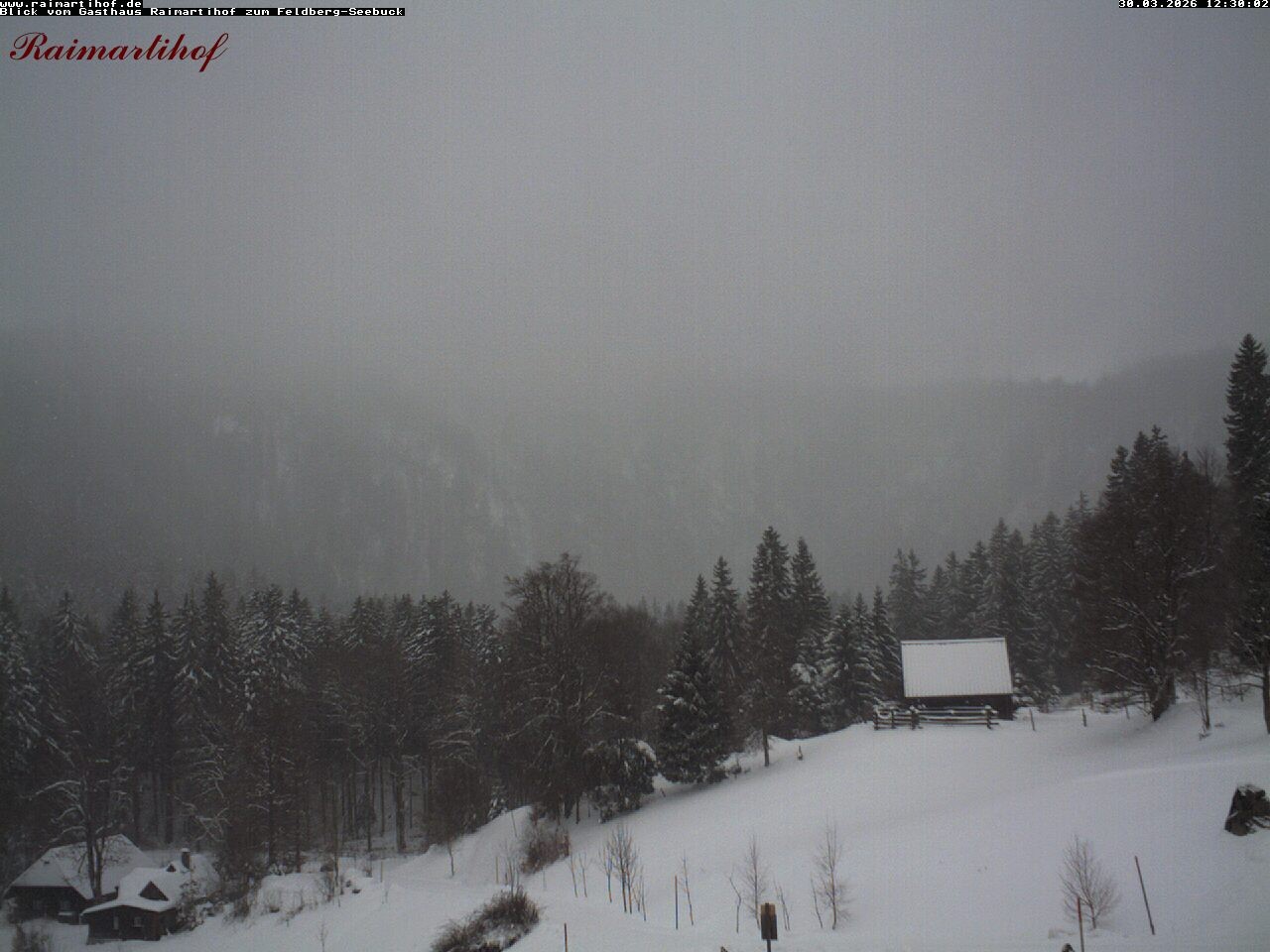 Archiv Foto Webcam Feldberg Raimartihof