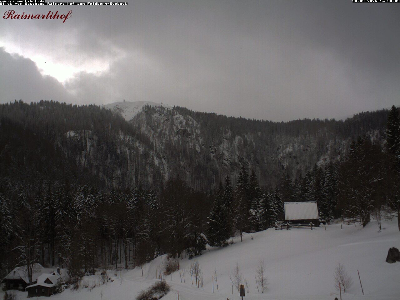 Archiv Foto Webcam Feldberg Raimartihof